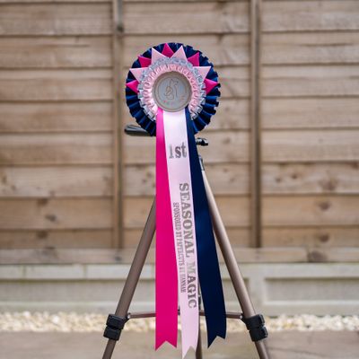 PET CLASS 4: SEASONAL MAGIC