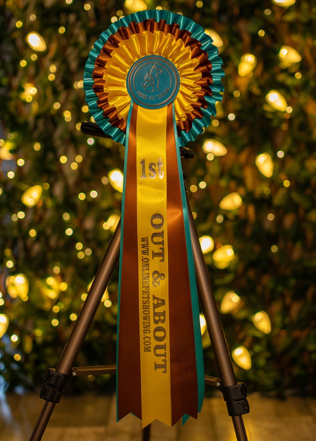 PET CLASS 7: OUT &amp; ABOUT