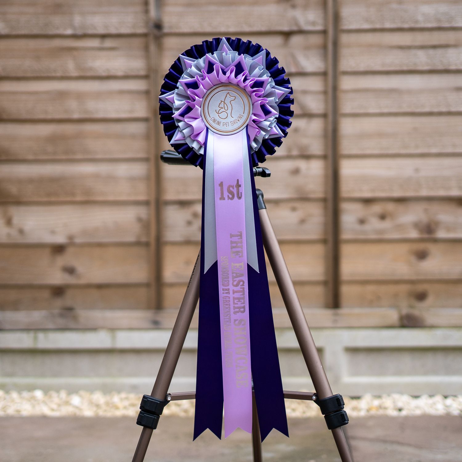 PET CLASS 7: THE EASTER SHOWCASE