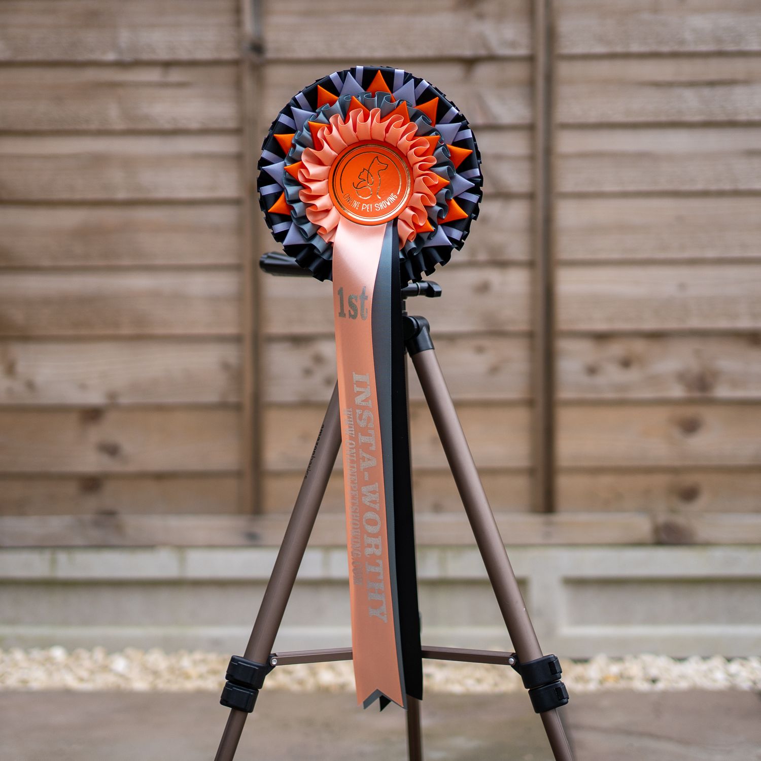 PET CLASS 11: INSTA-WORTHY