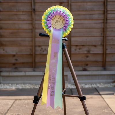 PET CLASS 11: MOBILE MOMENTS: FUN IN THE SUN