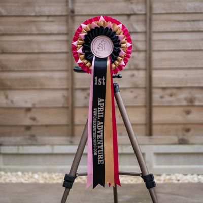 PET CLASS 13: APRIL ADVENTURE