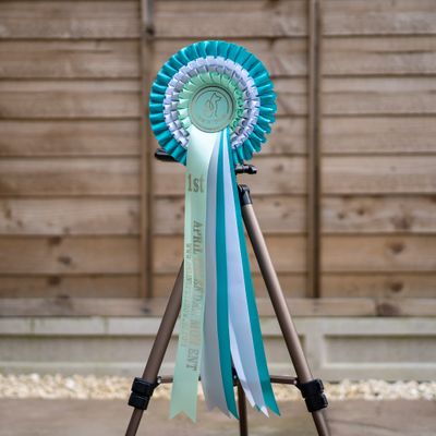 PET CLASS 15: APRIL CALENDAR MOMENT