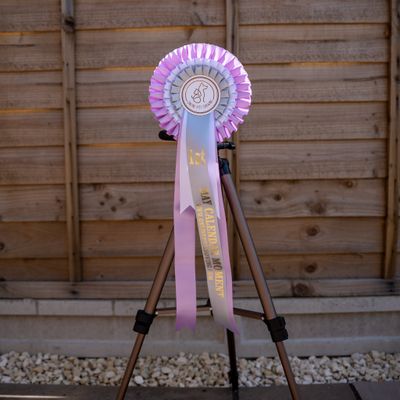 PET CLASS 15: MAY CALENDAR MOMENT