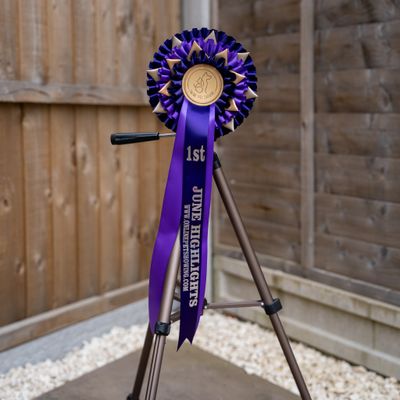 PET CLASS 15: JUNE HIGHLIGHTS