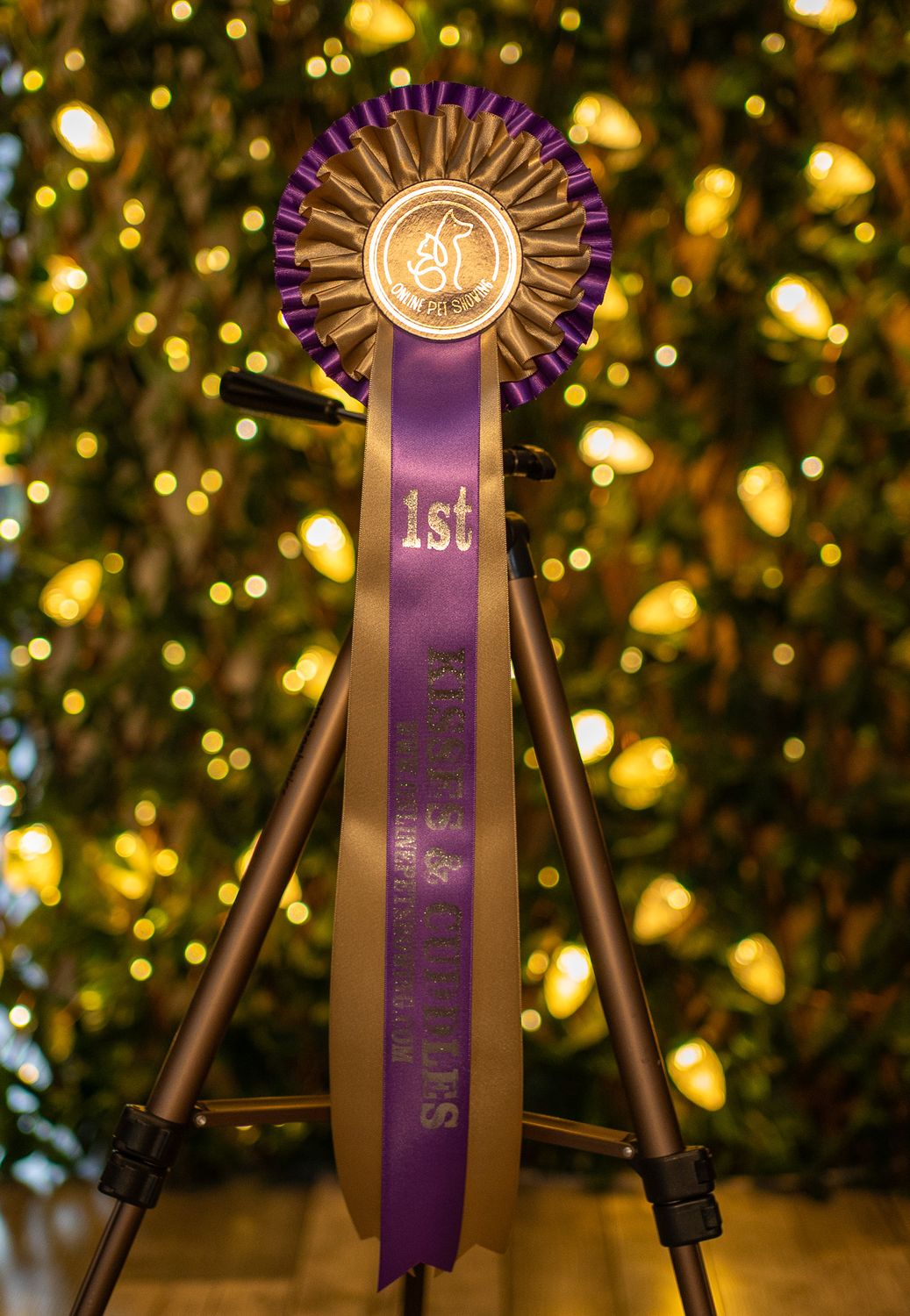 PET CLASS 16: KISSES &amp; CUDDLES