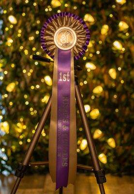 PET CLASS 16: KISSES &amp; CUDDLES