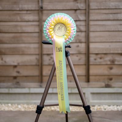 PET CLASS 17: ADORABLE MOMENTS