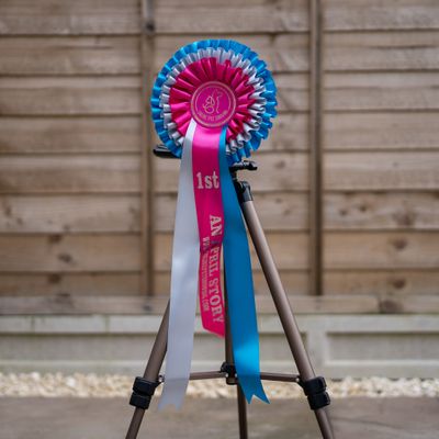 PET CLASS 16: AN APRIL STORY