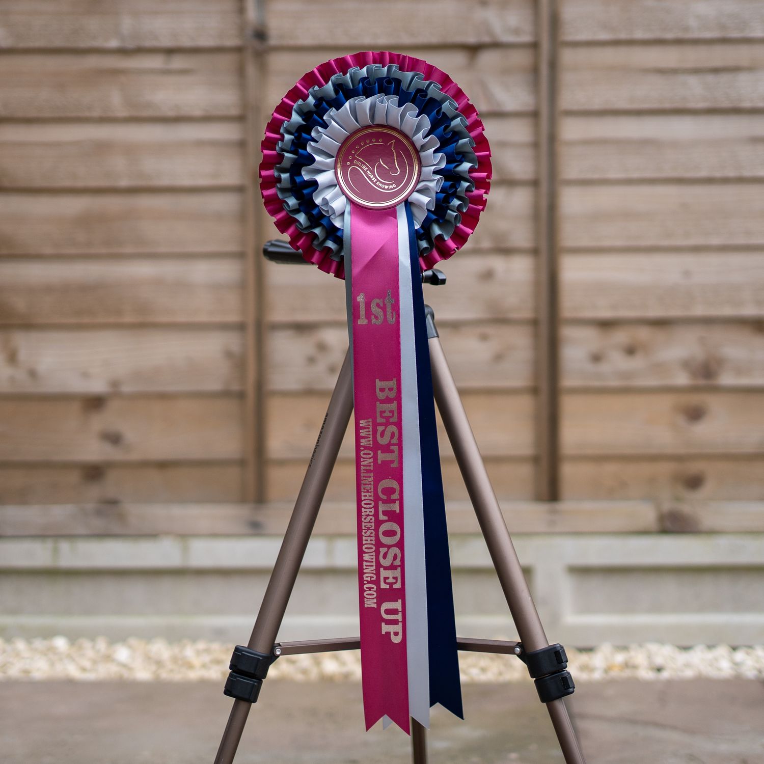 CLASS 13: BEST CLOSE UP