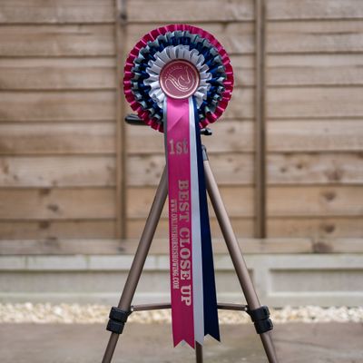 CLASS 13: BEST CLOSE UP