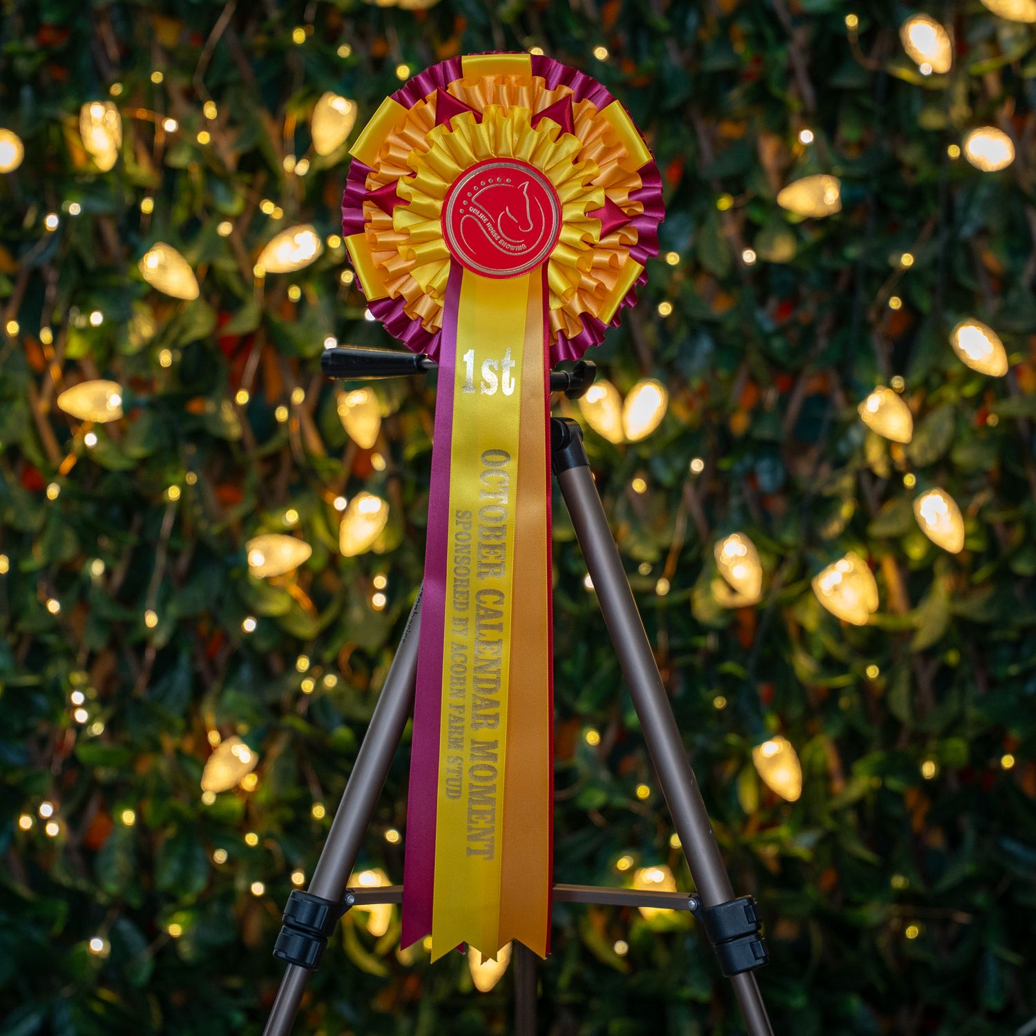 CLASS 13: OCTOBER CALENDAR MOMENT