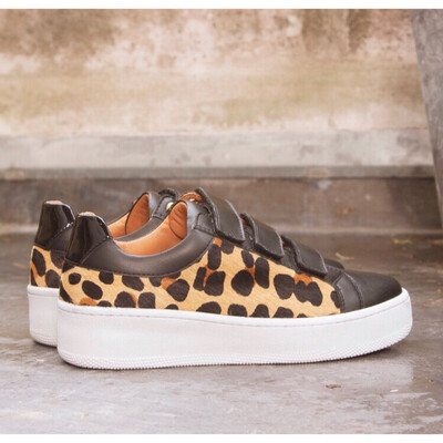 Judith - Velcro Trainer With Leopard Judith - Velcro Trainer With Leopard