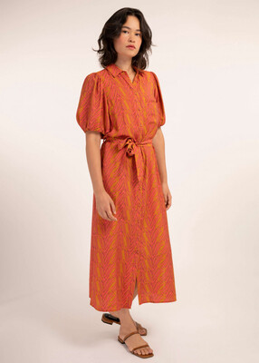 'Alyha' Faune Print Shirt Dress 'Alyha' Faune Print Shirt Dress