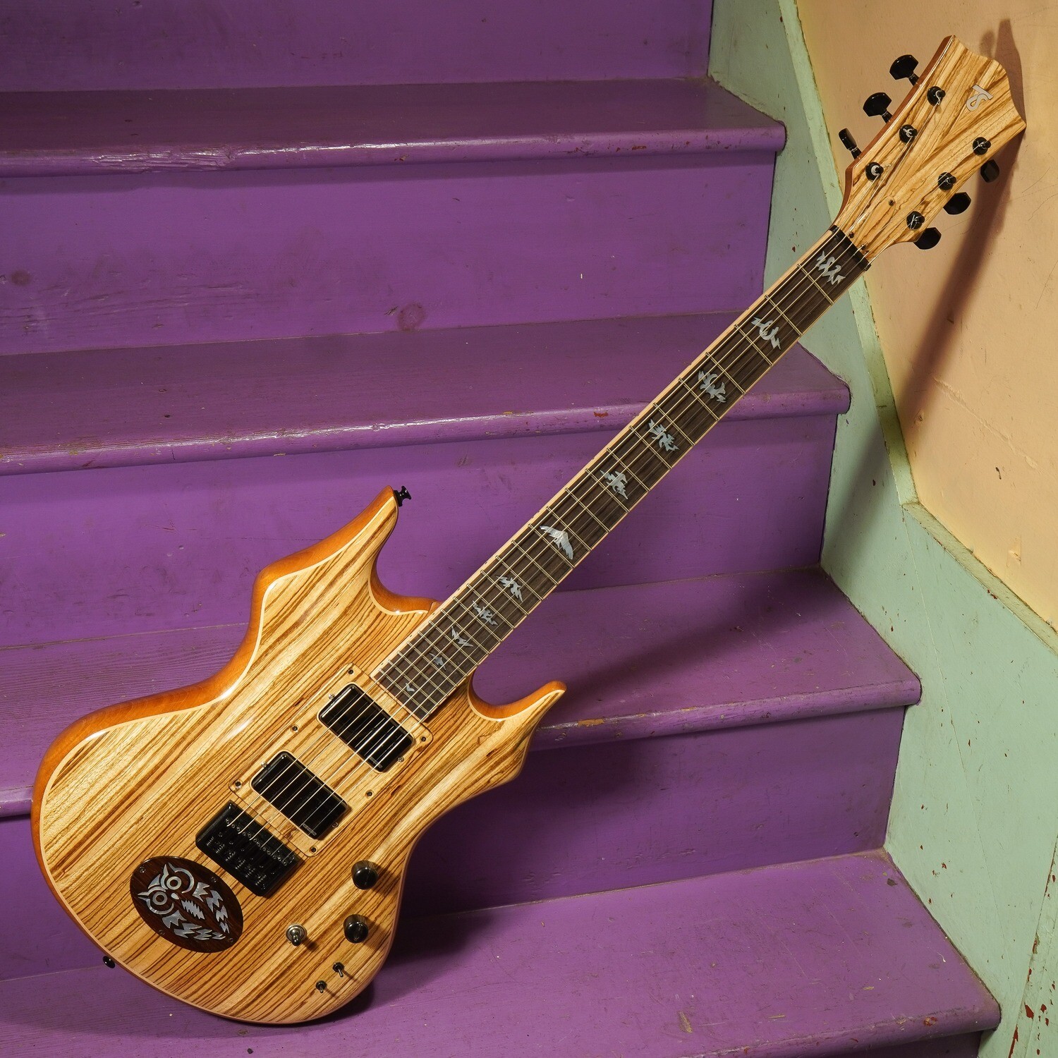 2023 Twigg-Smith The Owl Electric Guitar