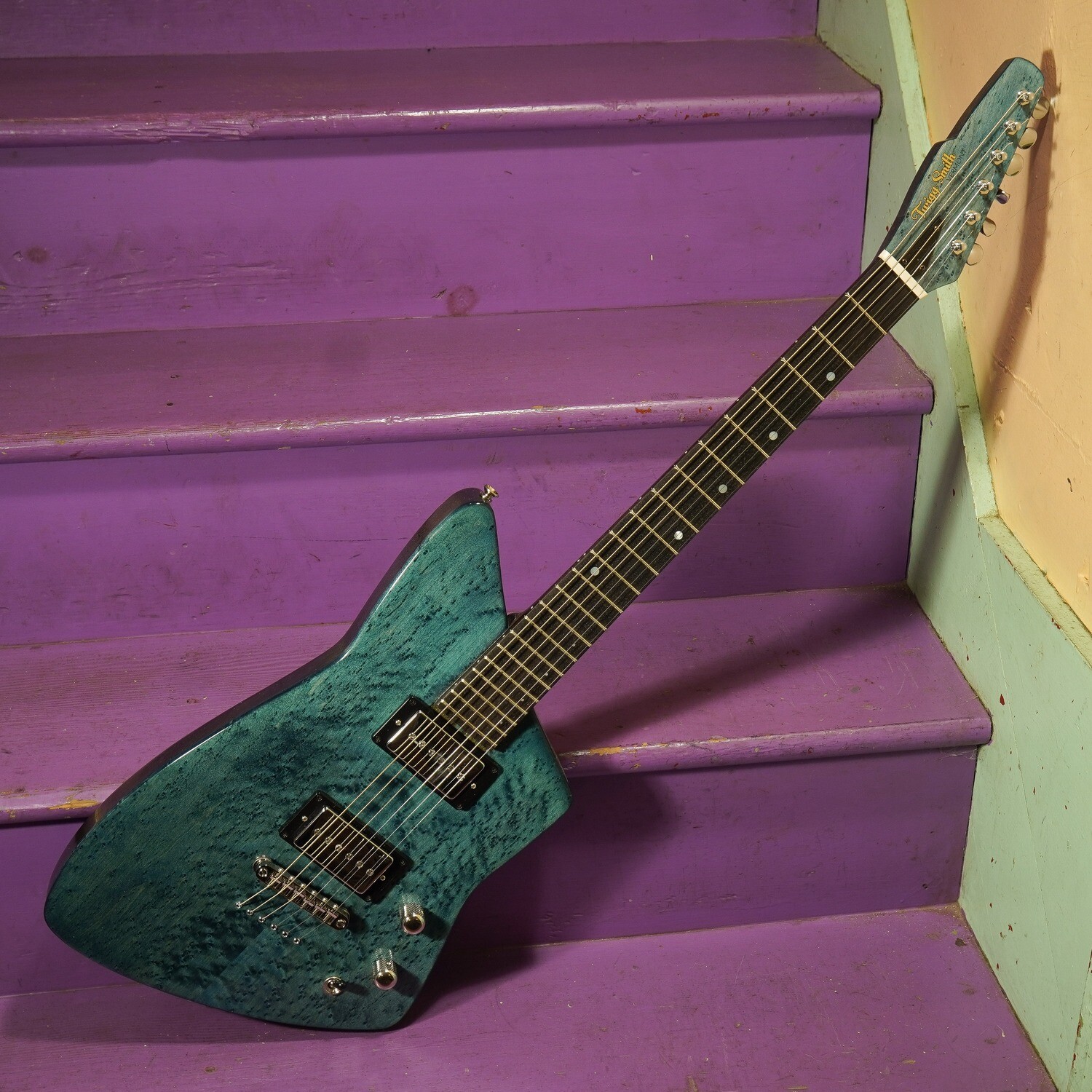 2023 Twigg-Smith Astro Set-Neck Electric Guitar