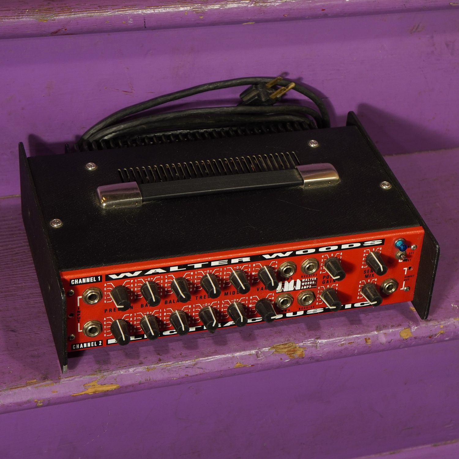 2000s Walter Woods Electracoustic &quot;Blue Light&quot; 1200w Bass Amp