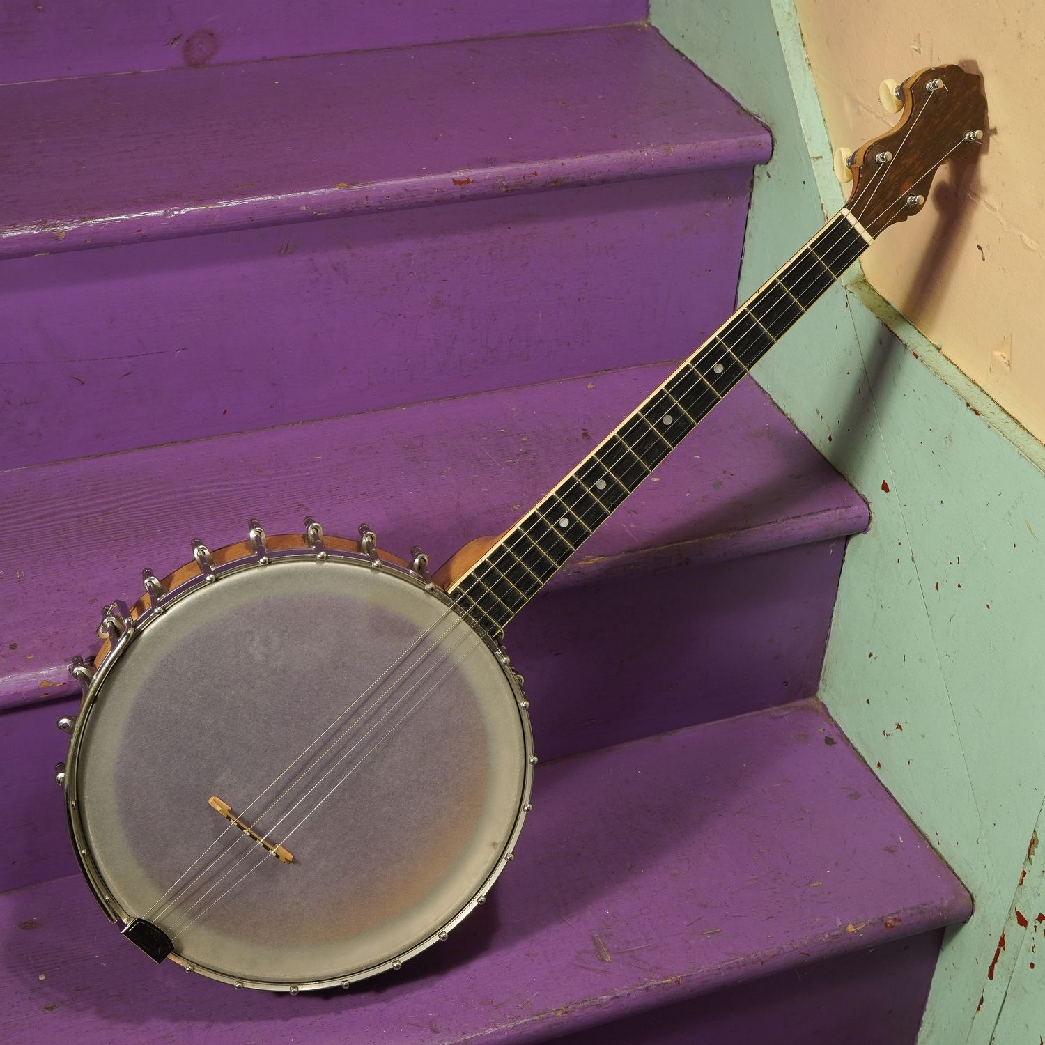 1920s Vega/Bacon Frankenstein Tenor Banjo