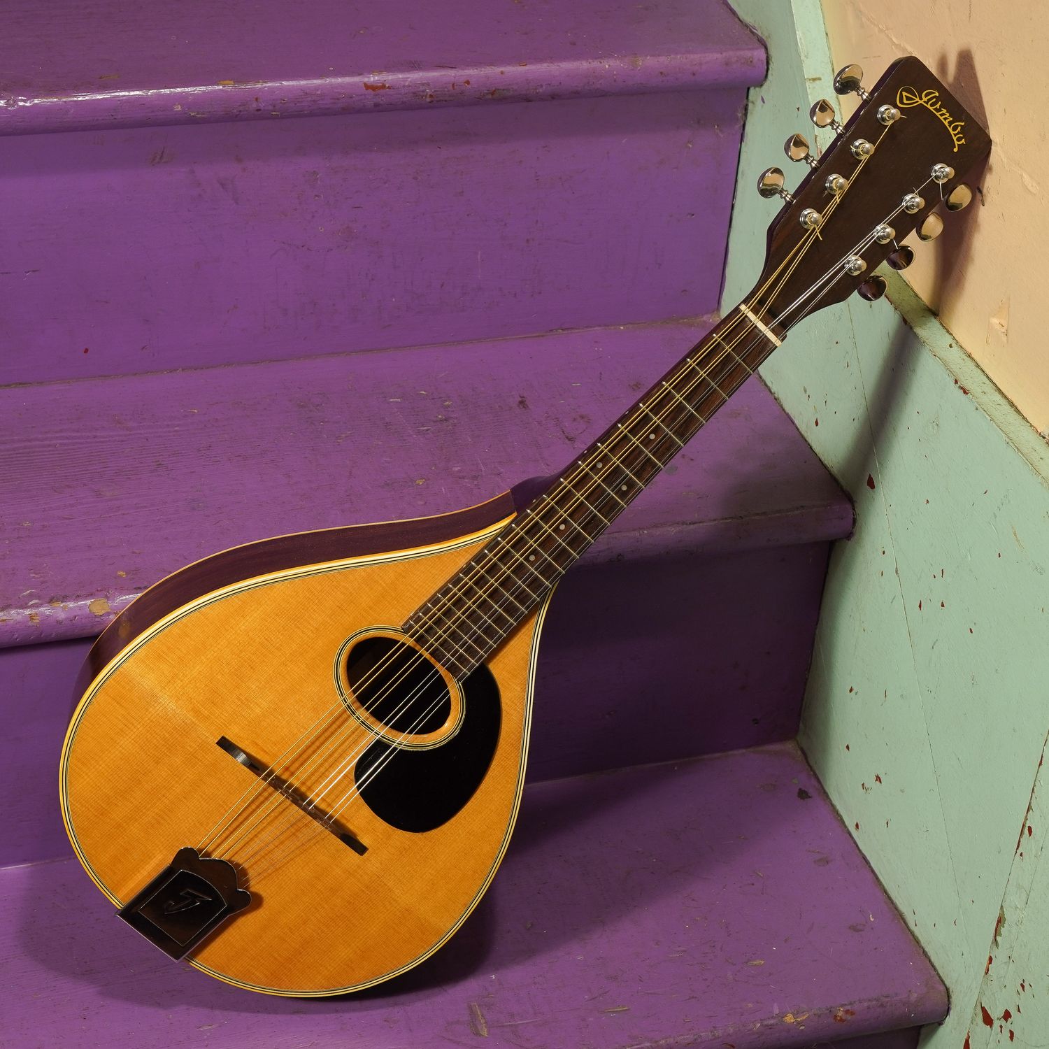 1970s Jumbo Martin-Copy Flatback Mandolin