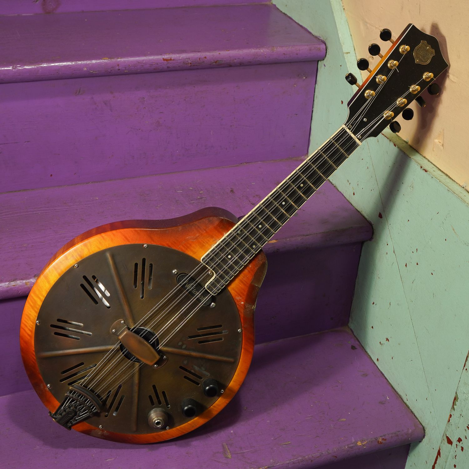 2010 National RM1 Resonator Mandolin w/Hotplate