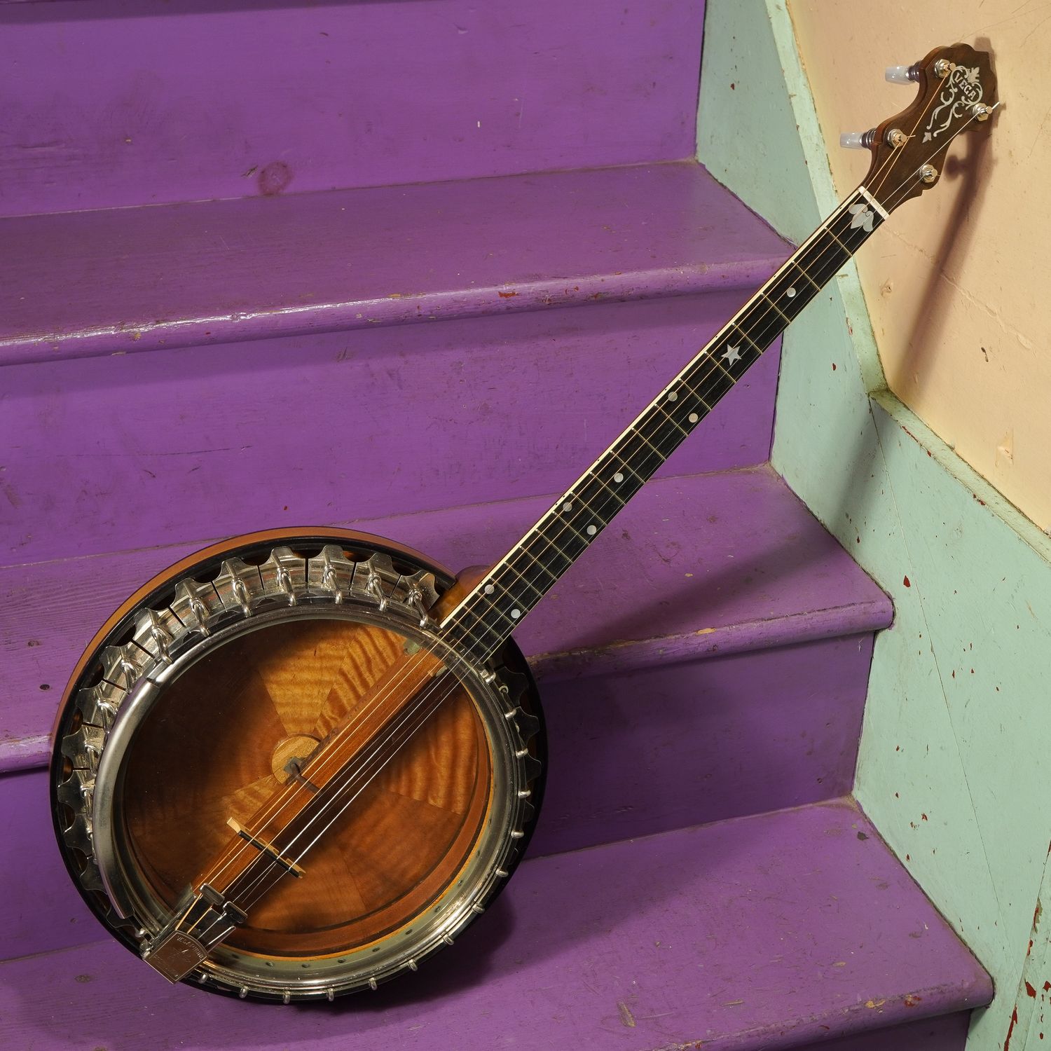 1927 Vega Vegaphone Resonator Tenor Banjo