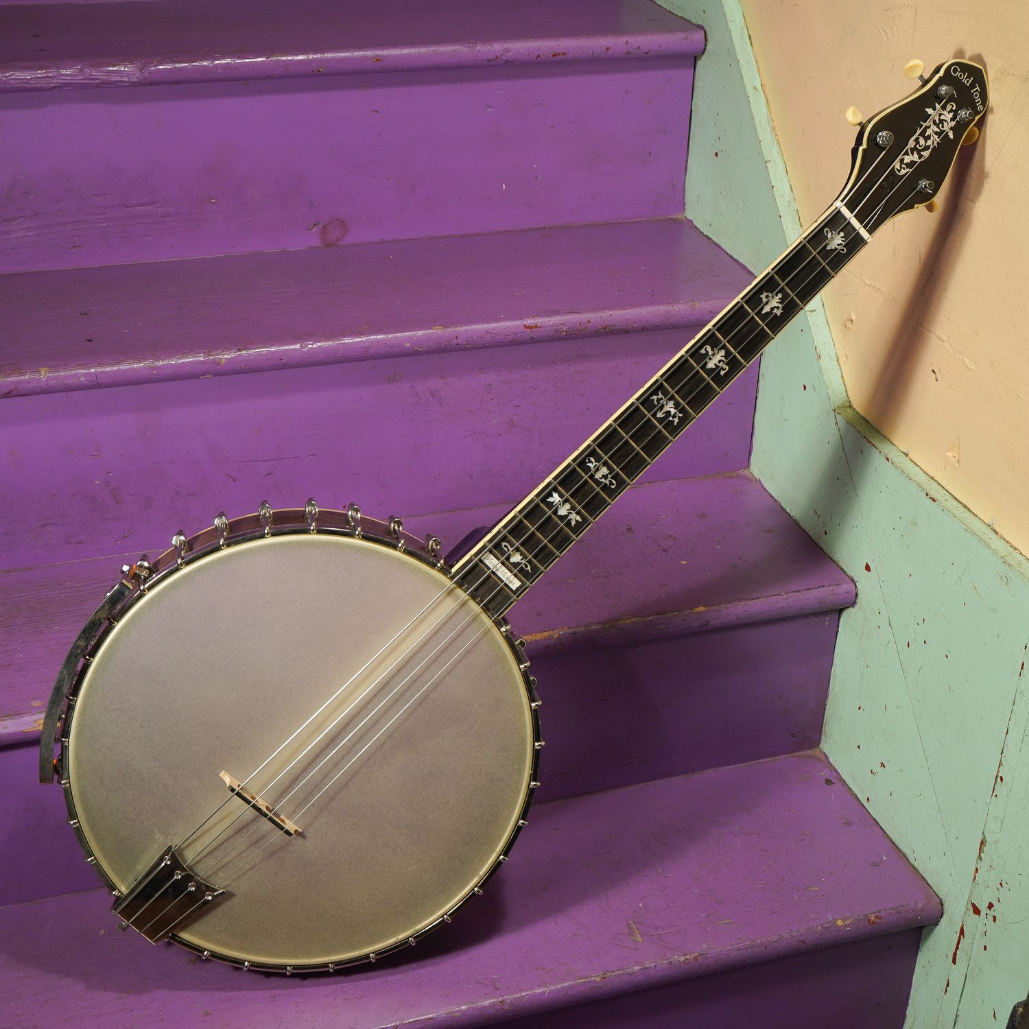 2021 Gold Tone CEB-4 Cello Banjo