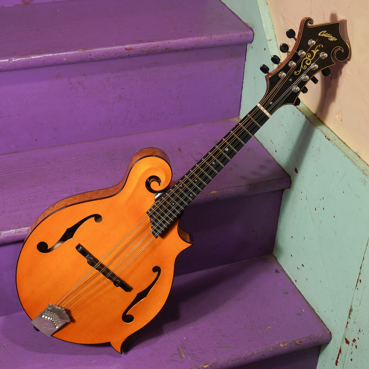 2010s Collings MF-5 Carved-Top F-Style Mandolin 2010s Collings MF-5 Carved-Top F-Style Mandolin