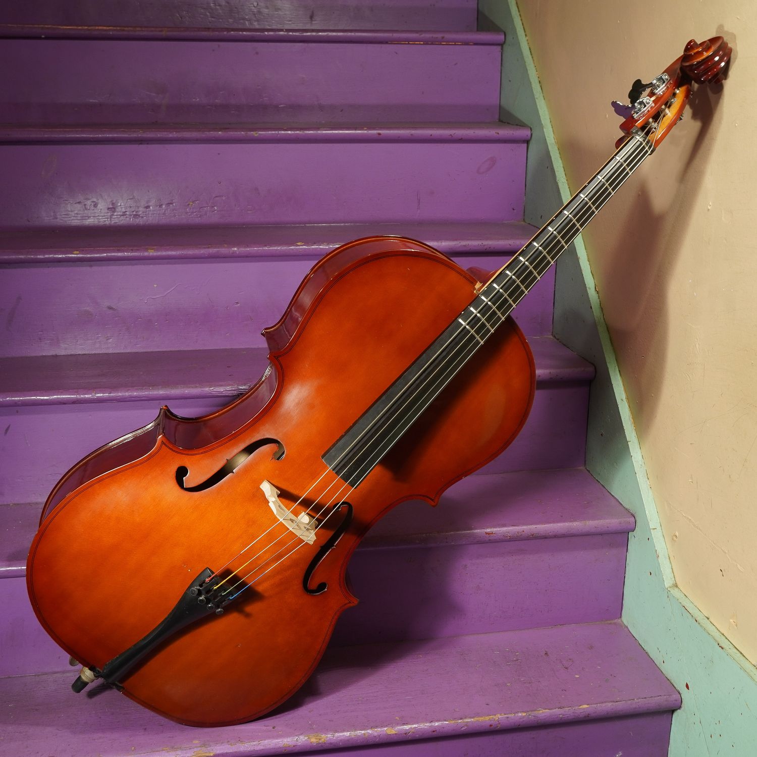 1990s Leon Aubert 4/4 Fretted Cello (No Shipping) 1990s Leon Aubert 4/4 Fretted Cello (No Shipping)