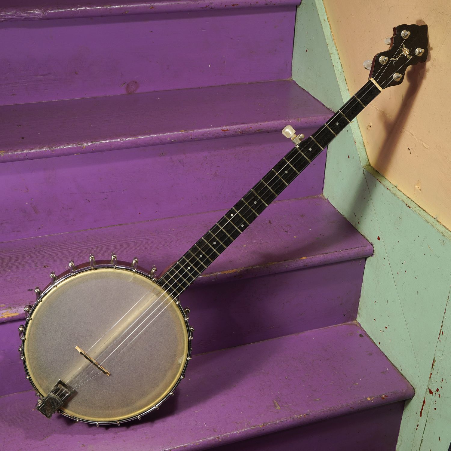1981 Dan Polifka 5-String Openback Banjo 1981 Dan Polifka 5-String Openback Banjo
