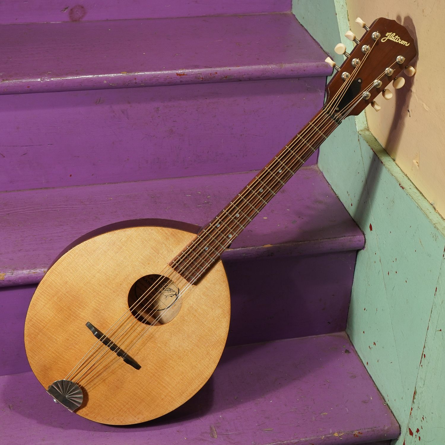 1995 Flatiron Scout Flatback Mandola