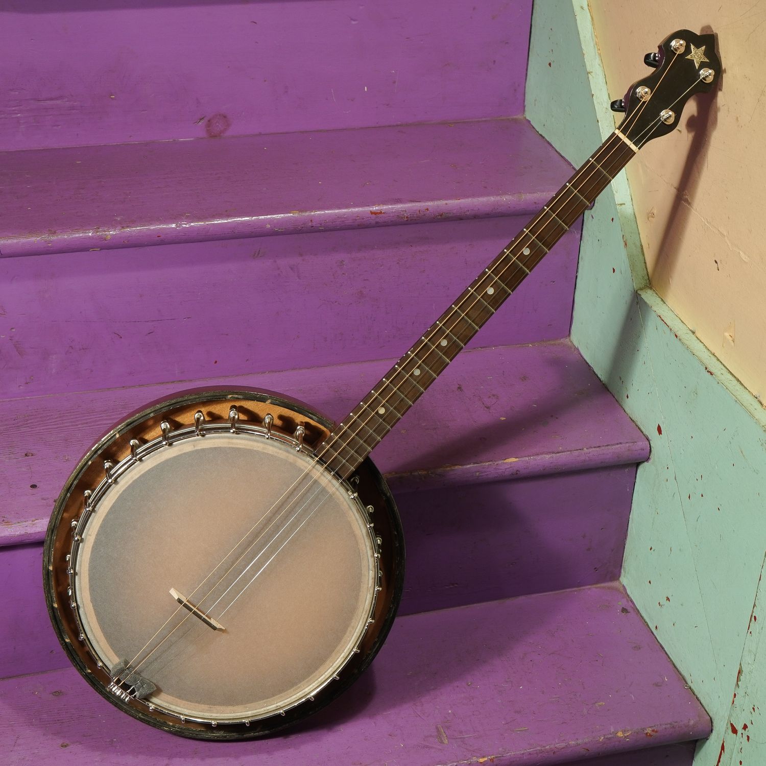 1920s Vega Resonator Tenor Banjo 1920s Vega Resonator Tenor Banjo