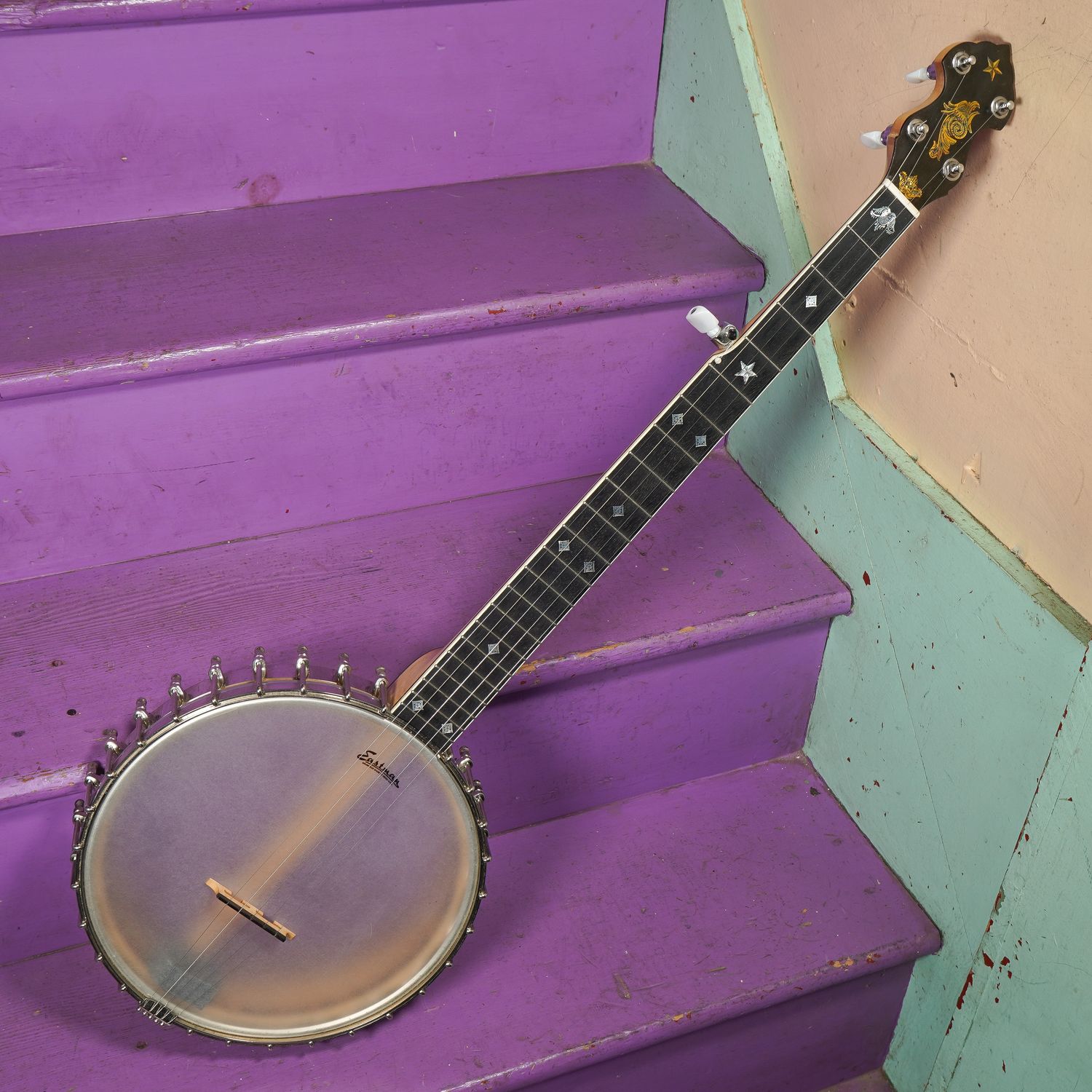 2010s Eastman Whyte Laydie-Style 5-String Openback Banjo