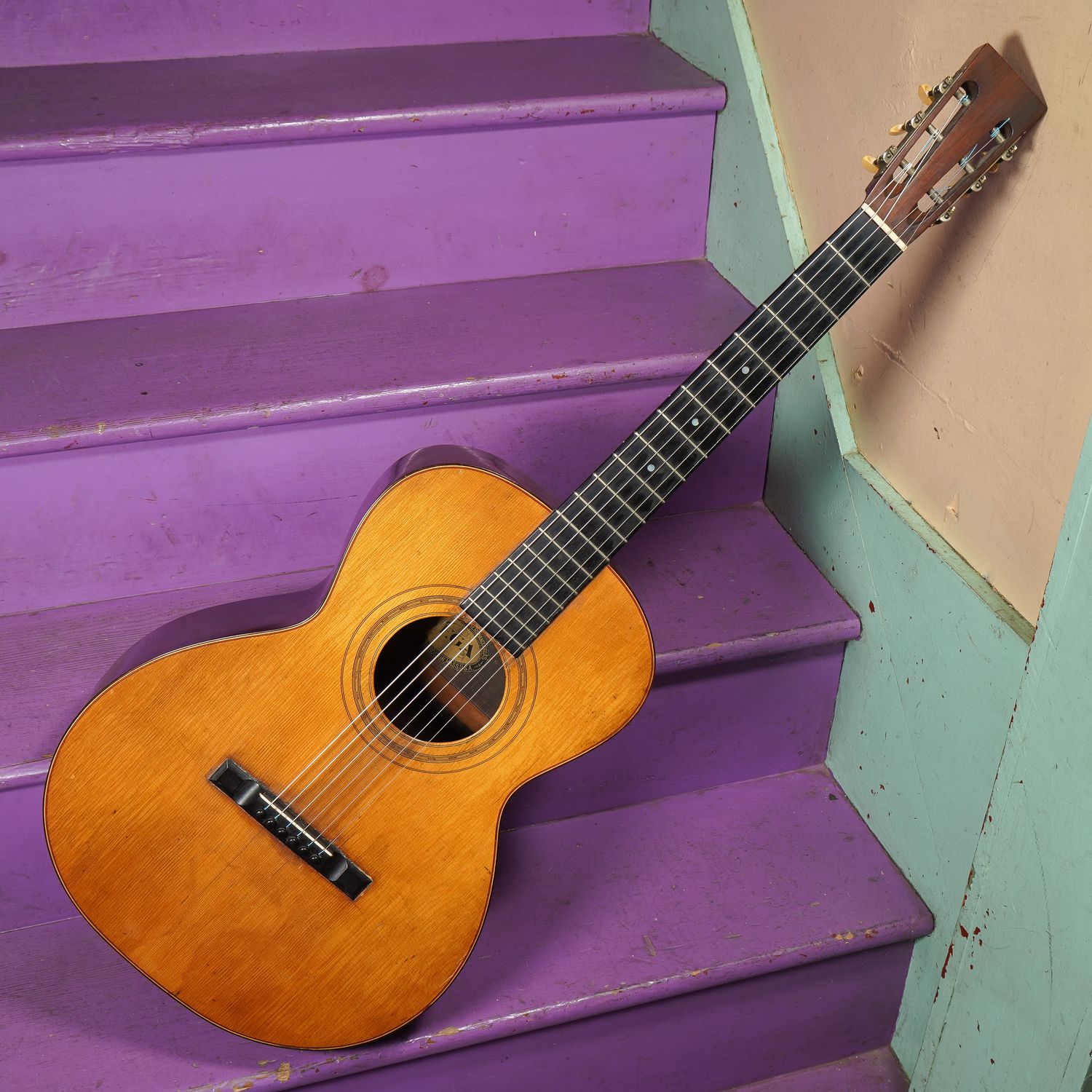 1899 Vega 00-size Brazilian Rosewood Guitar