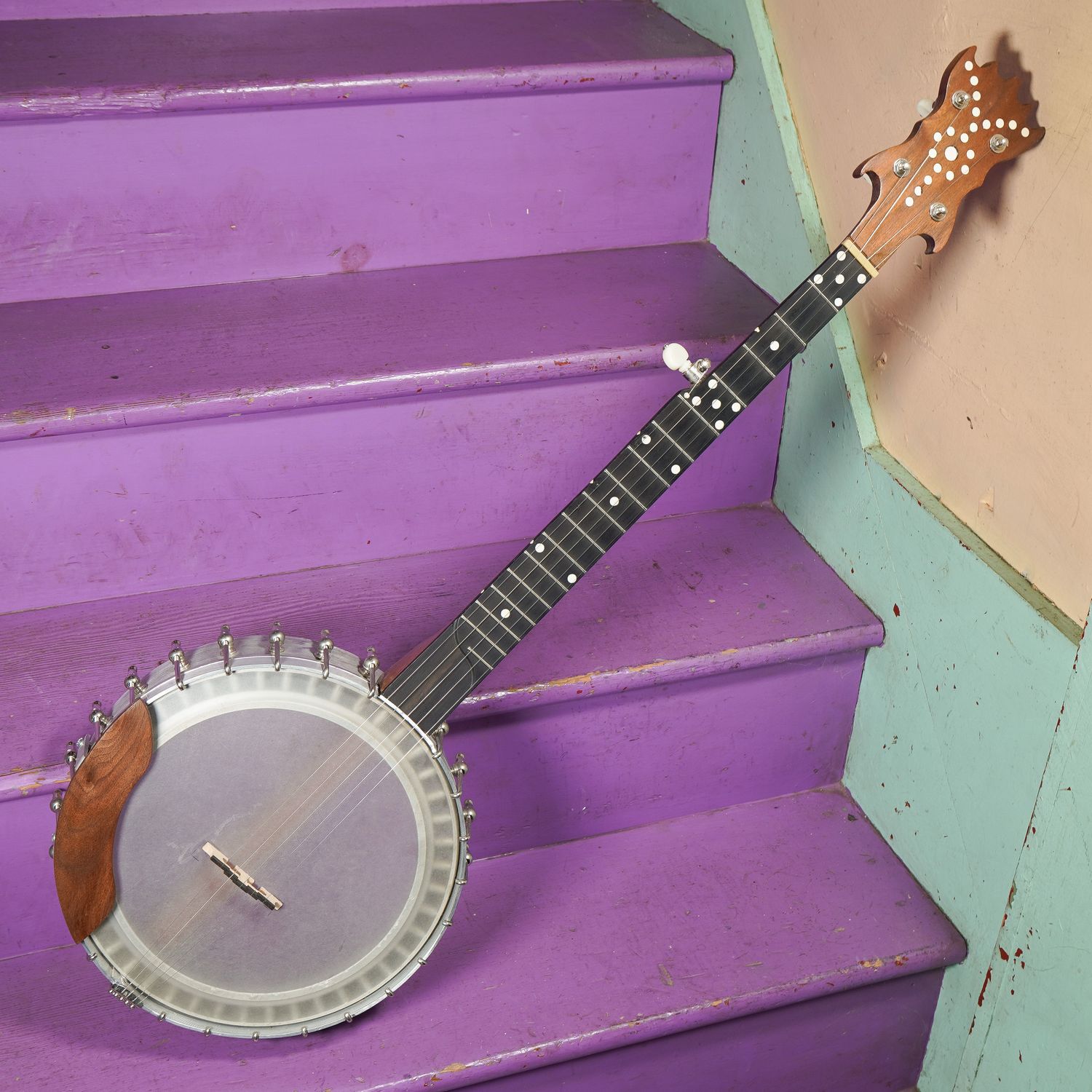 2016 C.W. Dean "Jenes Cottrell" 5-String Openback Banjo 2016 C.W. Dean "Jenes Cottrell" 5-String Openback Banjo