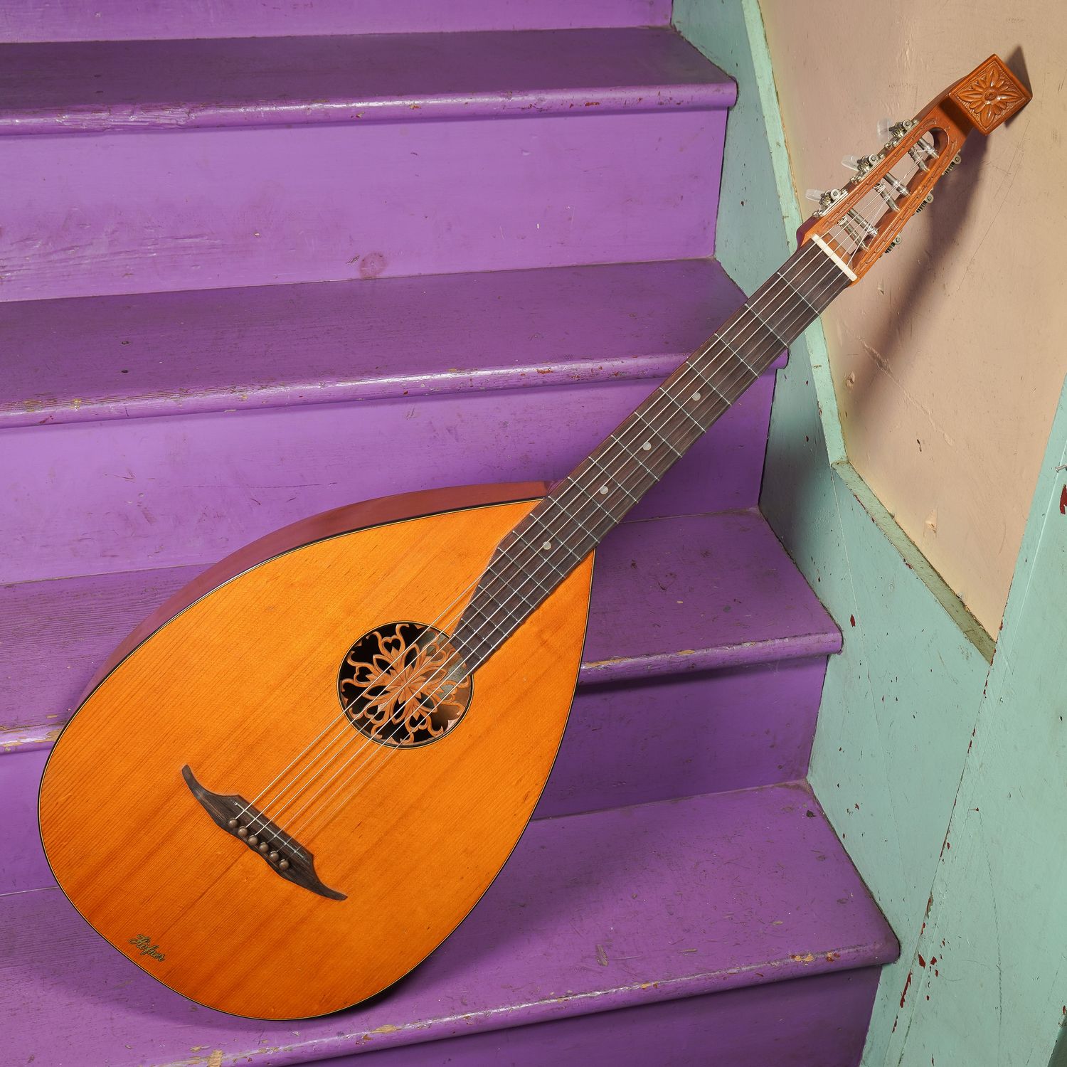 1960s Hofner Fancy Guitar-Lute