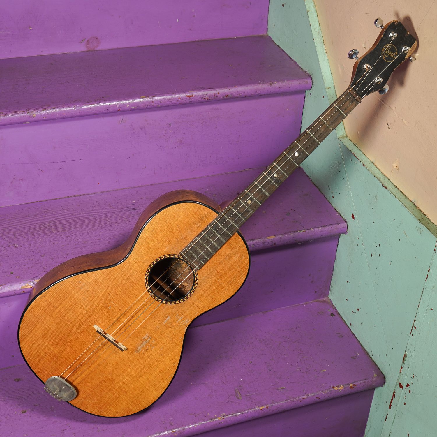 1930s Regal Size 5 Tenor Guitar