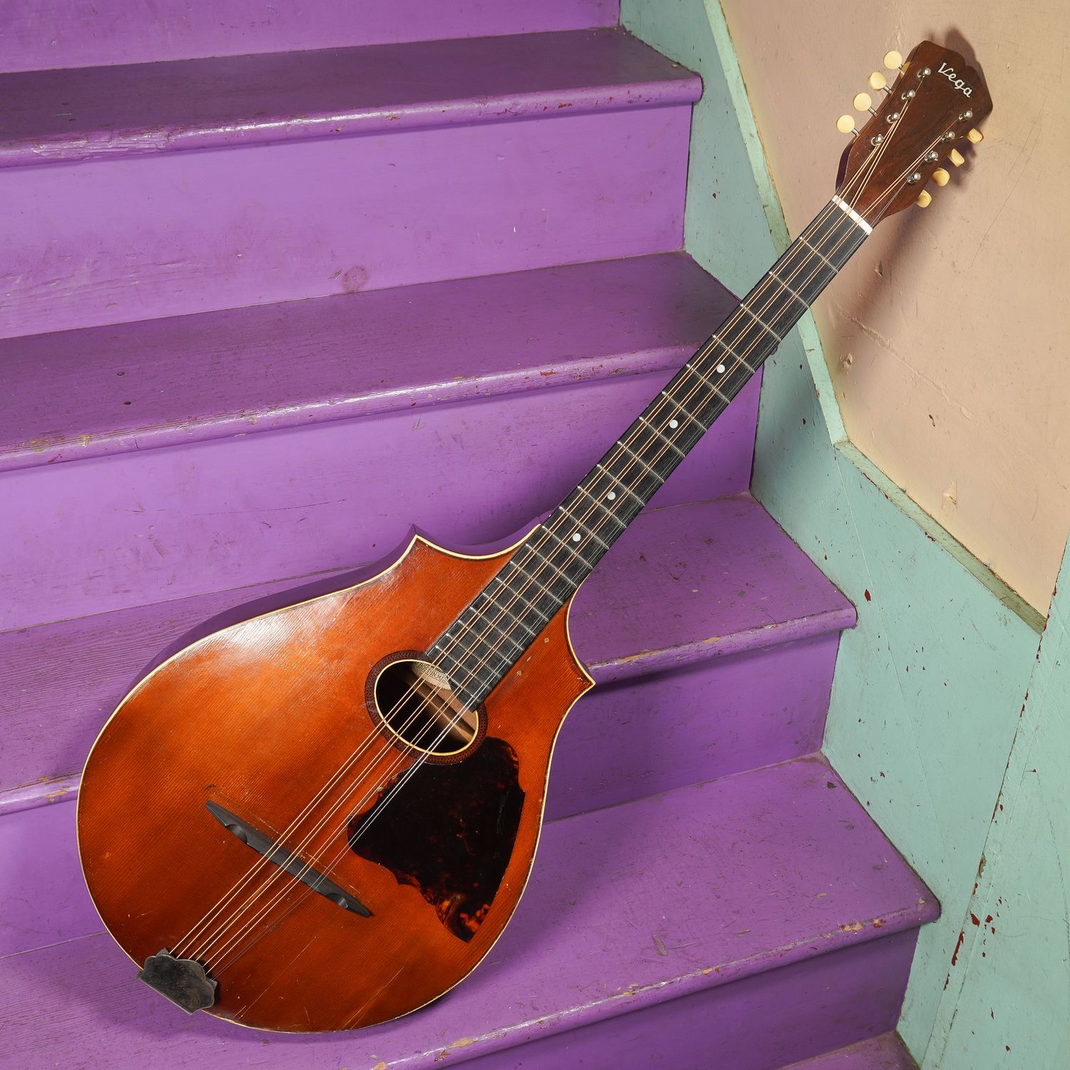 1920 Vega Cylinder-Back Mandocello 1920 Vega Cylinder-Back Mandocello