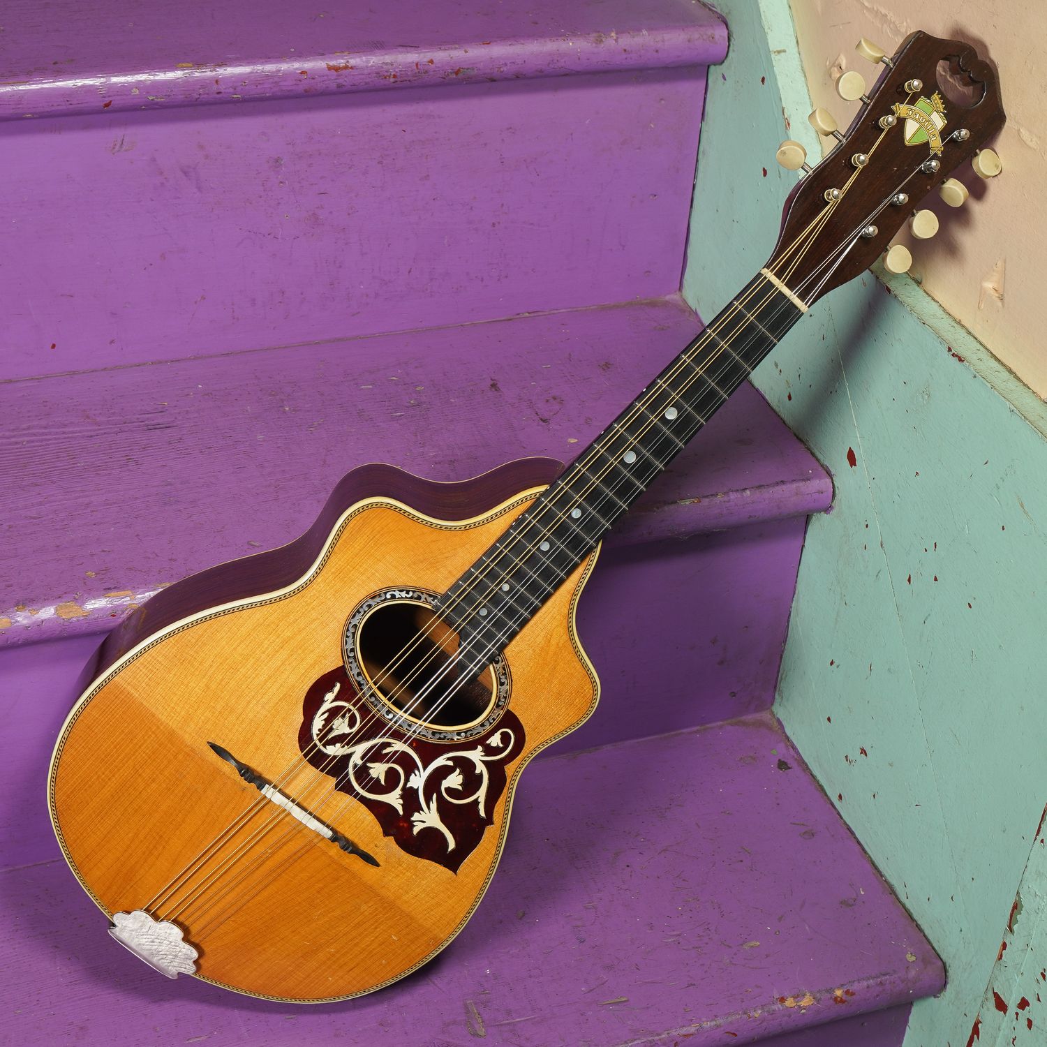 1920s Favilla 2-Point Mandolin 1920s Favilla 2-Point Mandolin