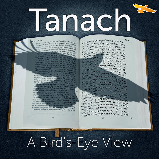 Tanach – A Bird’s-Eye View in 3 sessions