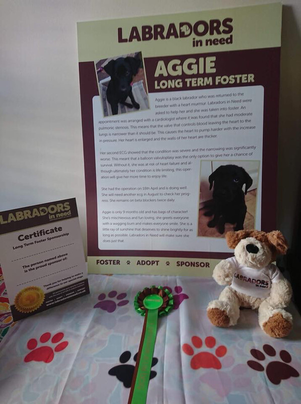 One Off Long Term Foster Sponsorship 