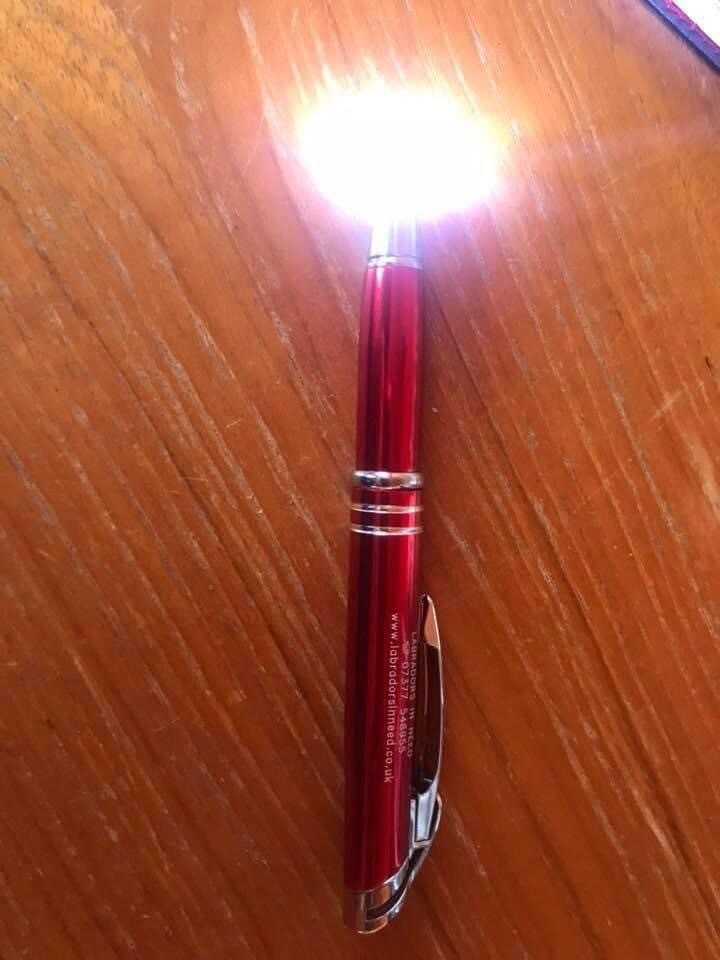 LIN Light Up Posh Pen