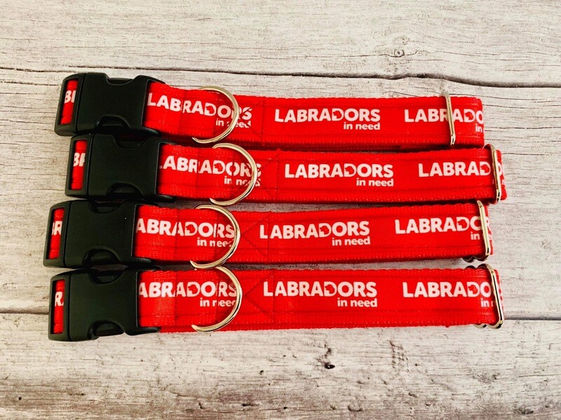 Red Labradors In Need Collar