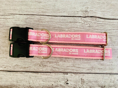 Pink Labradors In Need Collar