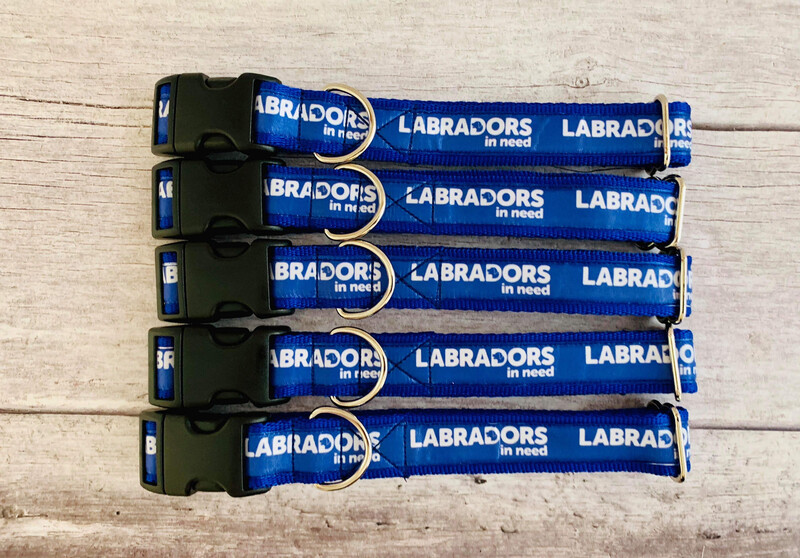 Royal Blue Labradors In Need Collar