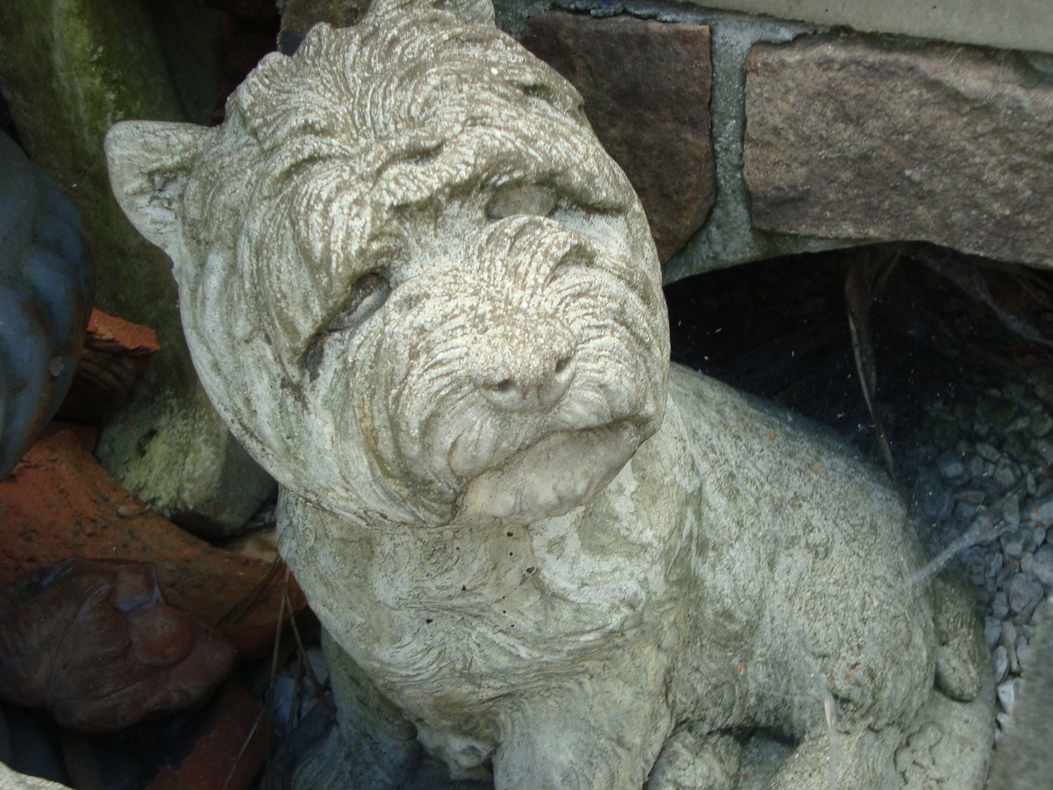 West Highland Steen