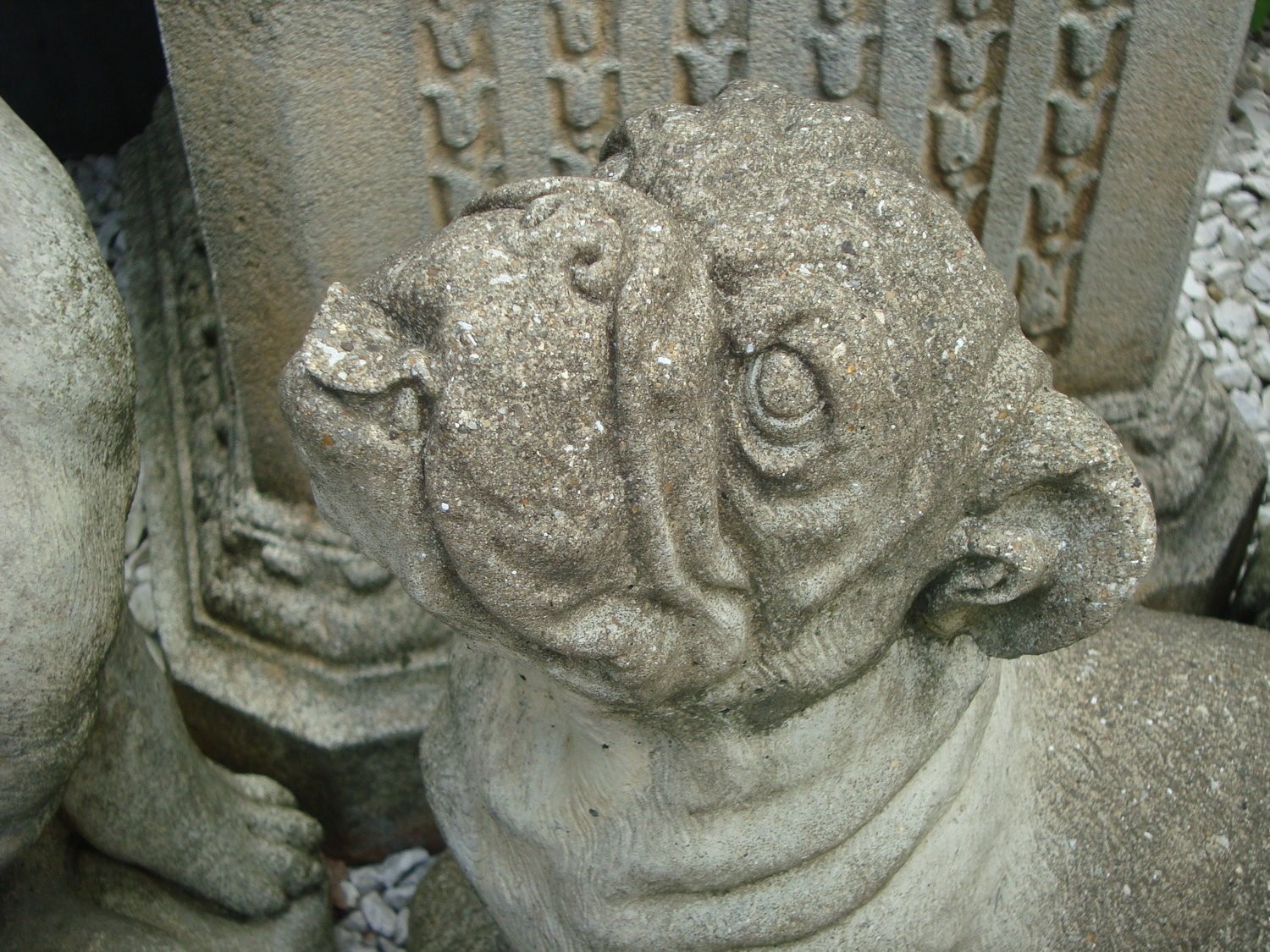 Stenen Bulldog beeld