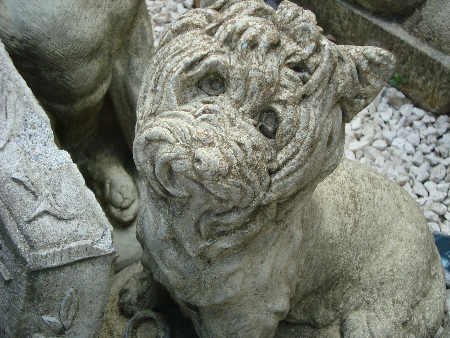 Yorkshire Terrier Beton