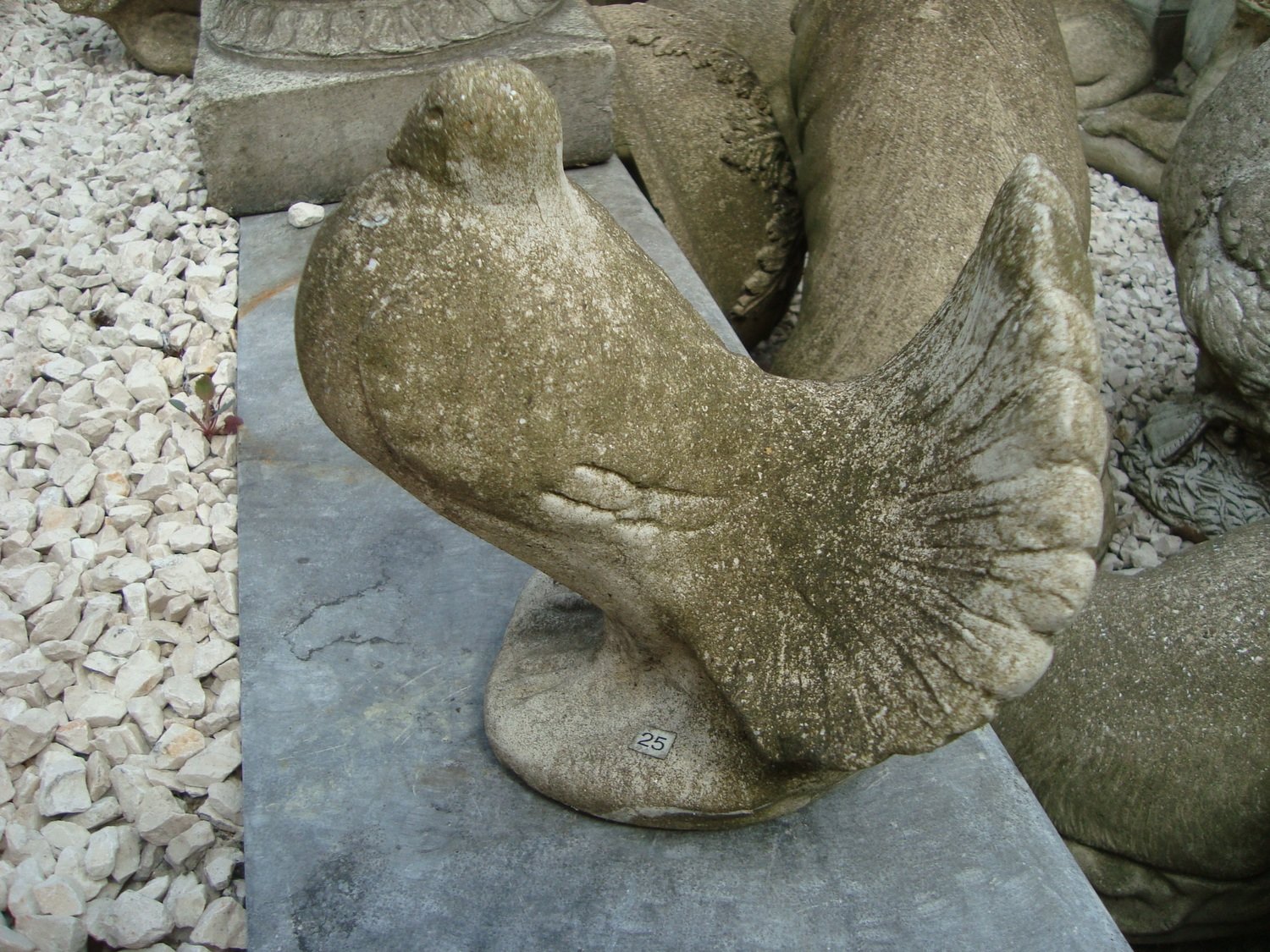 Tortelduif Beeld