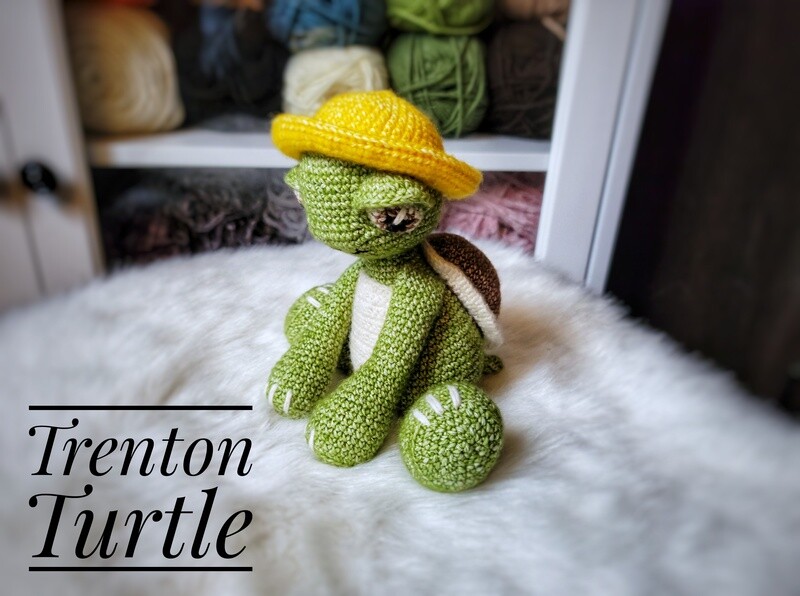 Trenton the Turtle Pattern