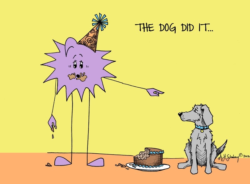 Birthday Dog